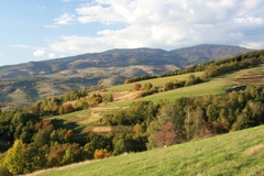 Pod poľanou