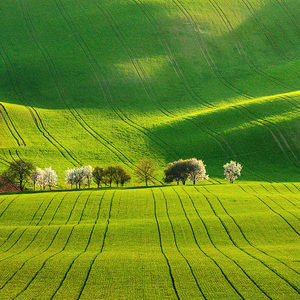 Južna Morava