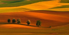 Jarná
