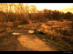 early spring