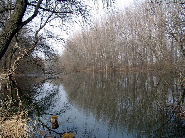 Zrkadlenie