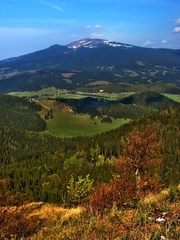 Kráľovka