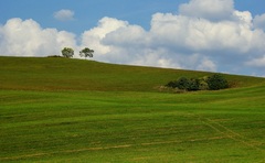 línie