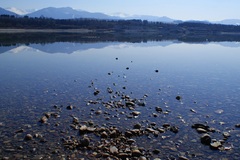 zrkadlenie
