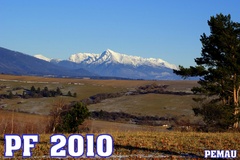PF 2010