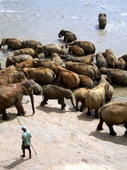 A ja idem radšj sám...