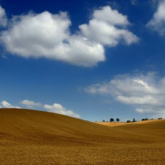 Point of Illumination