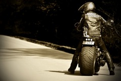 Harley