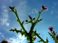 to až tam mám vyliezť?