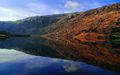 nature mirror