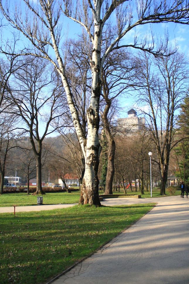 Trenčiansky park