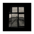 Birkenau