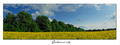 pano