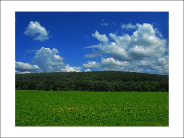 land