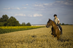Horse Girl