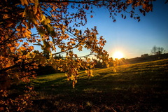 a little piece of autumn