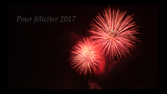 PF 2017