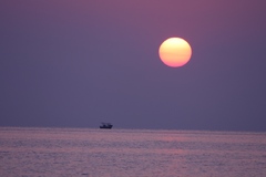 Sun Is Up