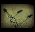 The Story ...