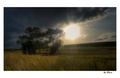 Sunset IV
