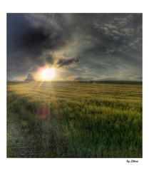 Sunset III