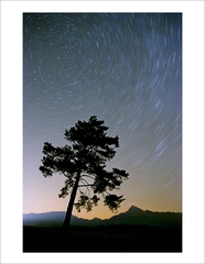 V prúde času, strom a hora stojí