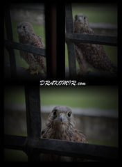 Stretnutie III. druhu