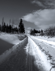 Path