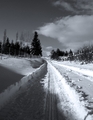 Path