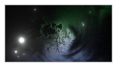 The Space Tree