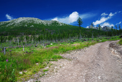 Slavkovsky stit