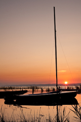 Sail away