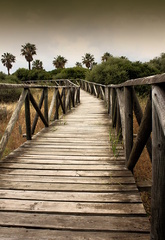 dreveným chodníčkom...