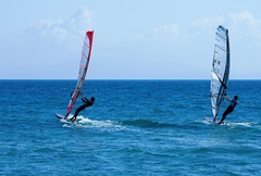 windsurfing