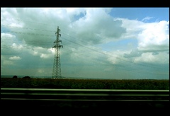 leto 08