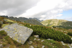 v pasme kosodreviny