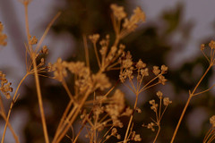 Na konci a zaciatku...