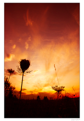 Burning sky