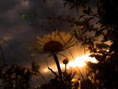 minutka pred koncom...