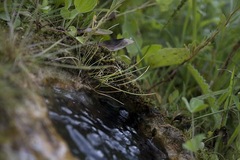 hladina_1