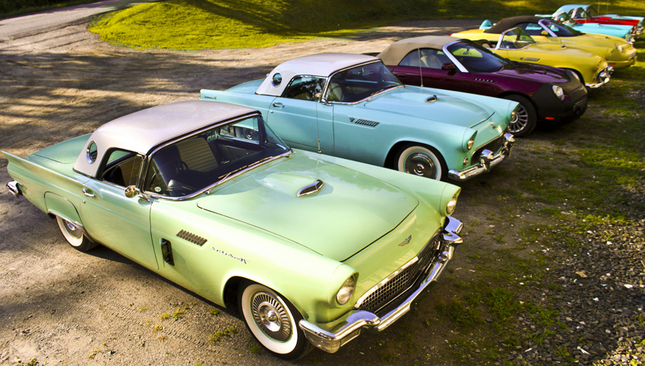 Fords and Thunderbirds