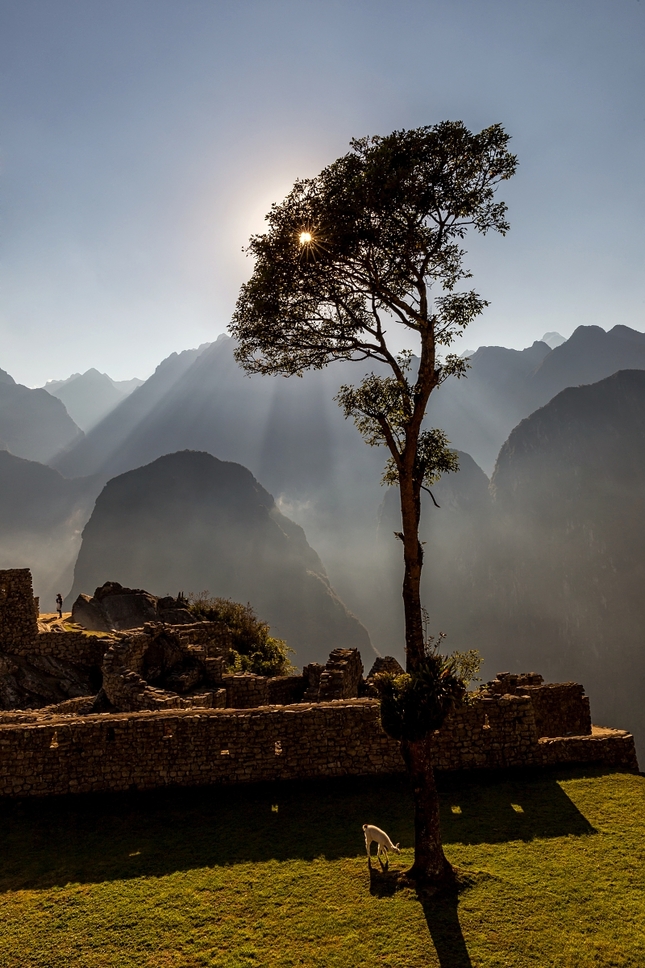 Obyvateľ Machu Picchu