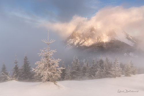Slovensko