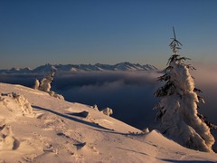 Tatry v rannom slnku