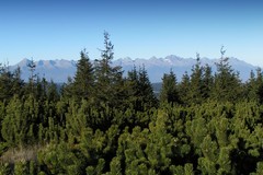 Vysoké Tatry