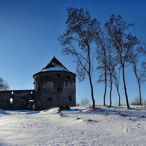 Panoráma hradu Bzovík
