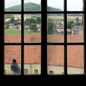 Popoluškin pomocník