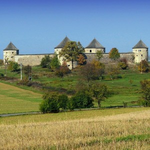 hrad Bzovík