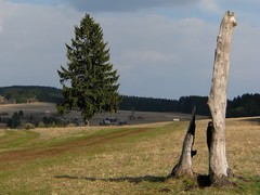 Živý a mŕtvy...