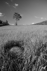 mravenisko nad Kolačínom